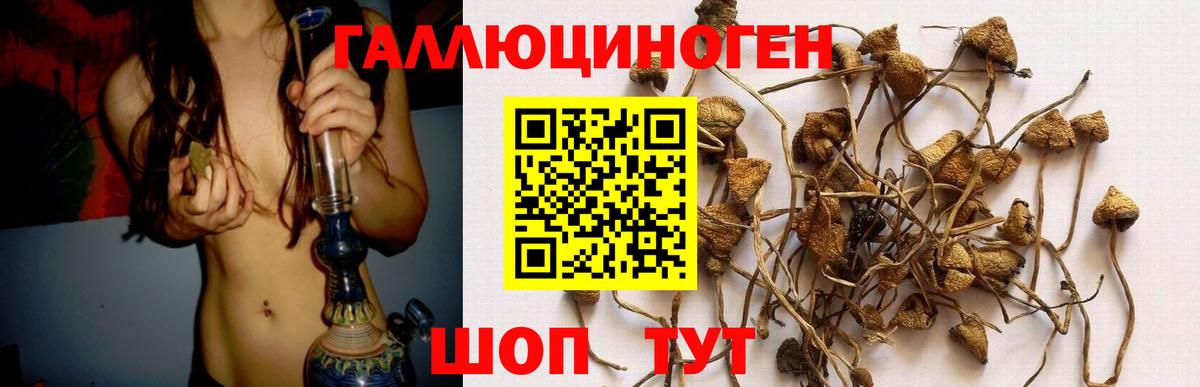 Галлюциногенные грибы GOLDEN TEACHER  Вход с VPN  Калуга  купить наркоту  Галлюциногенные грибы MAGIC MUSHROOMS 